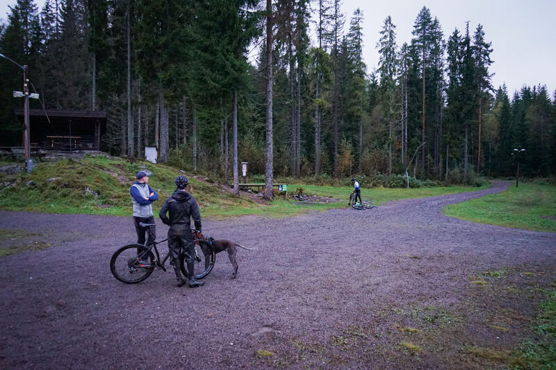Varingskollen er et perfekt sted for trening i følge Robin der hundene får prøvd seg i oppover og nedover bakker. 