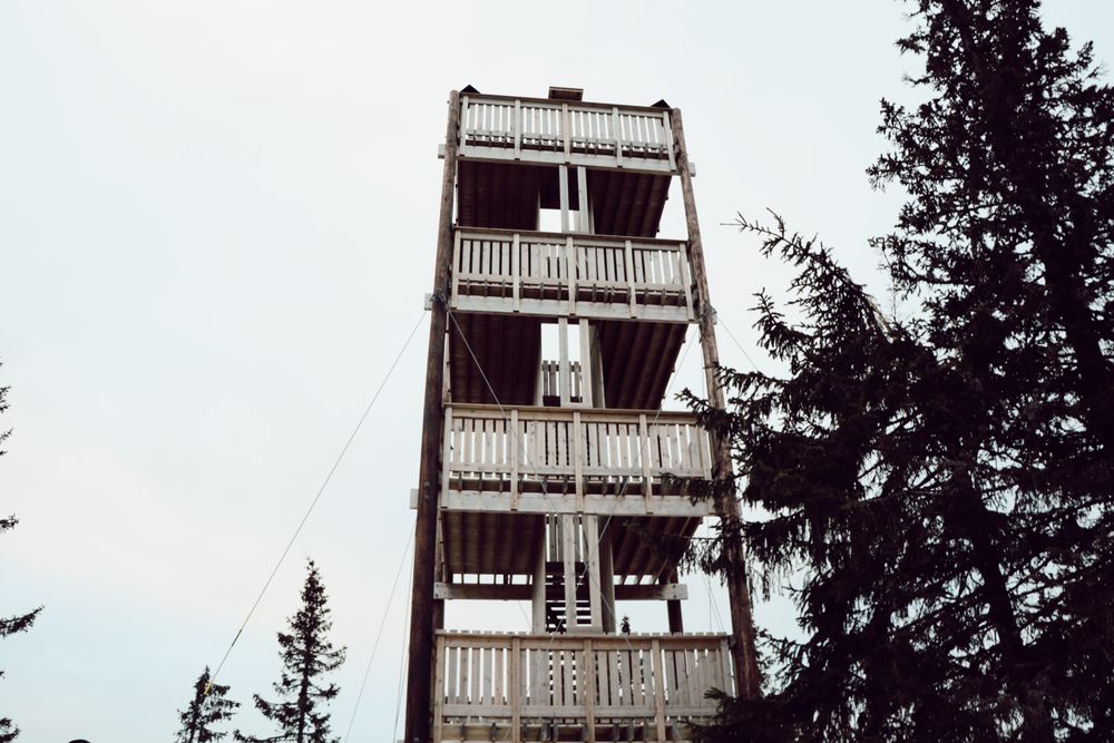 FLOTT UTSIKT: Lushaugtårnet er 15 meter høyt og har fire platåer. Fra toppen av tårnet får man fantastisk utsikt over store deler av Østlandet.